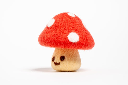 The Little Mushroom Guy Felting Kit