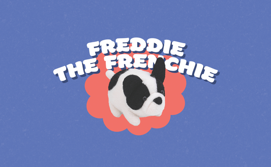 Freddie the Frenchie Felting Kit